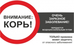 Внимание: Корь!